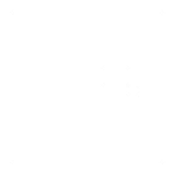 Fast delivery